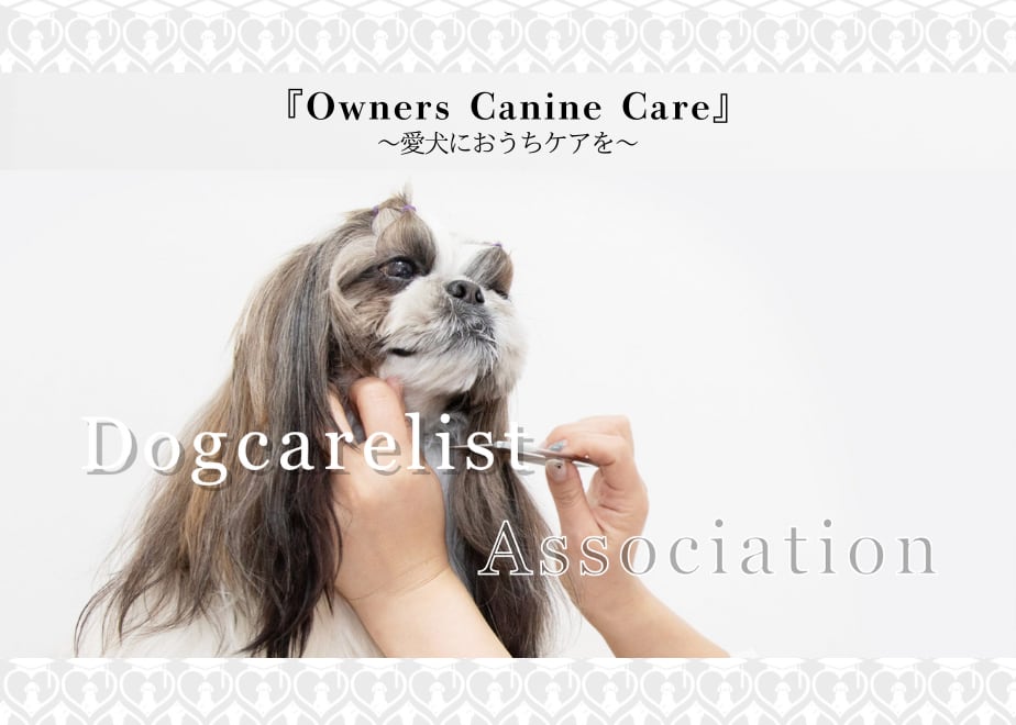 ドッグケアリスト協会〜愛犬におうちケアを〜