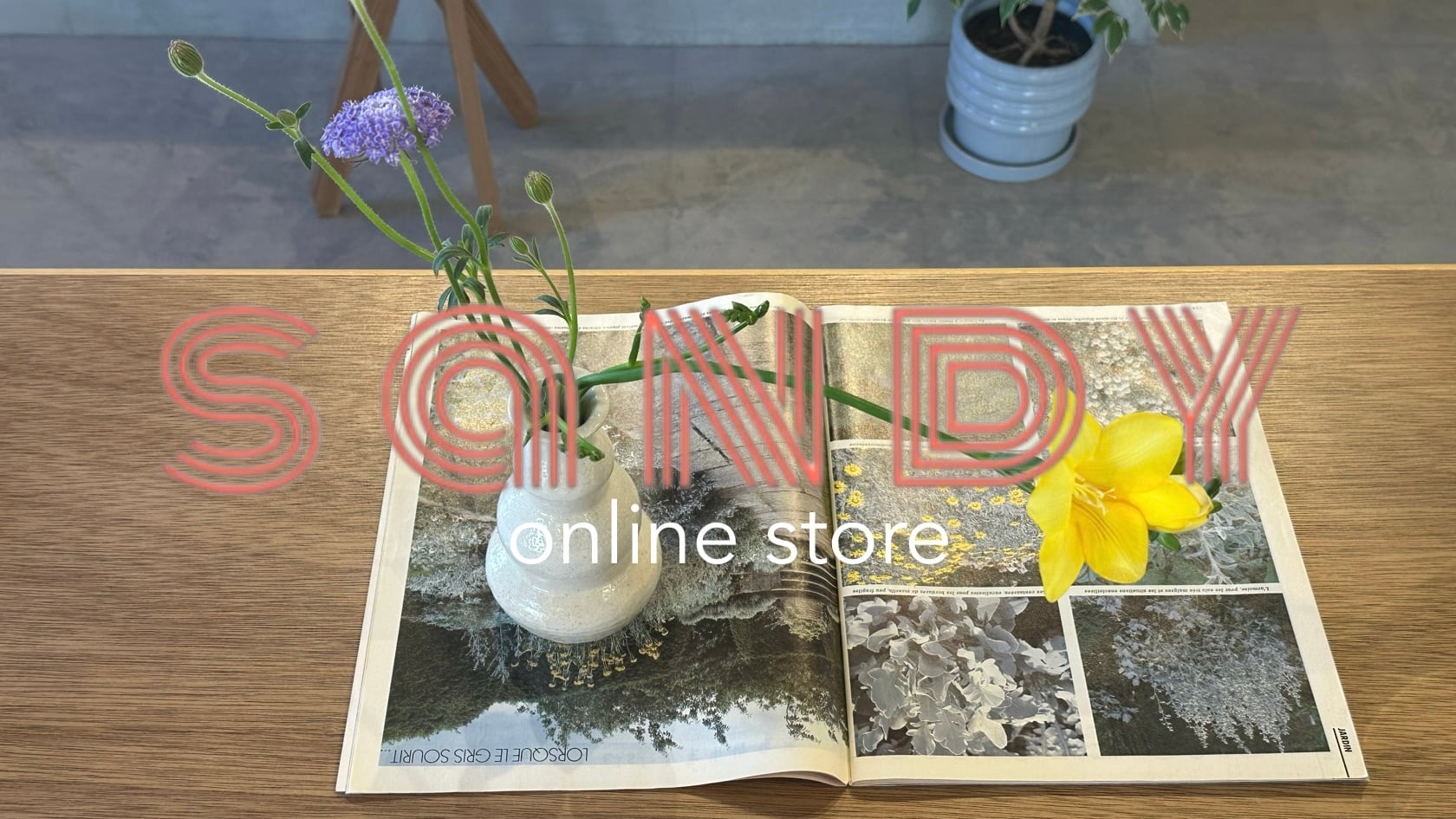 sandy online store