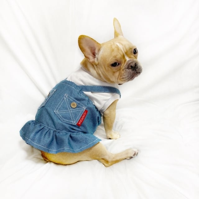 Joniroha ジョニロハ 犬服ハンドメイド・フレブル服・パグ服・小型犬服