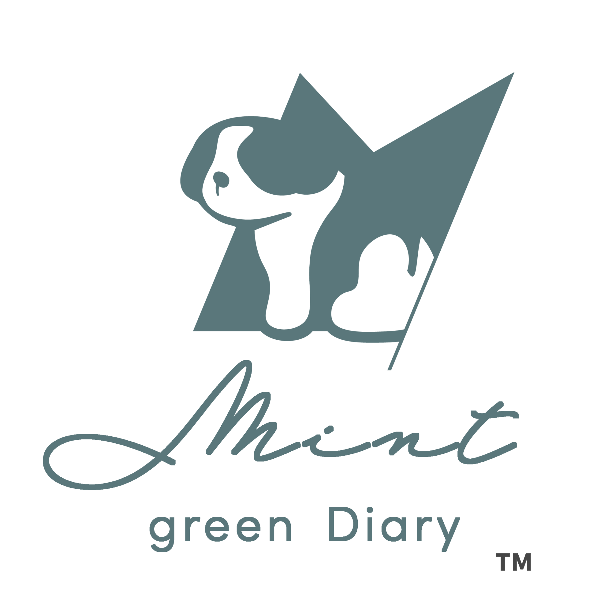 Mint green Diary