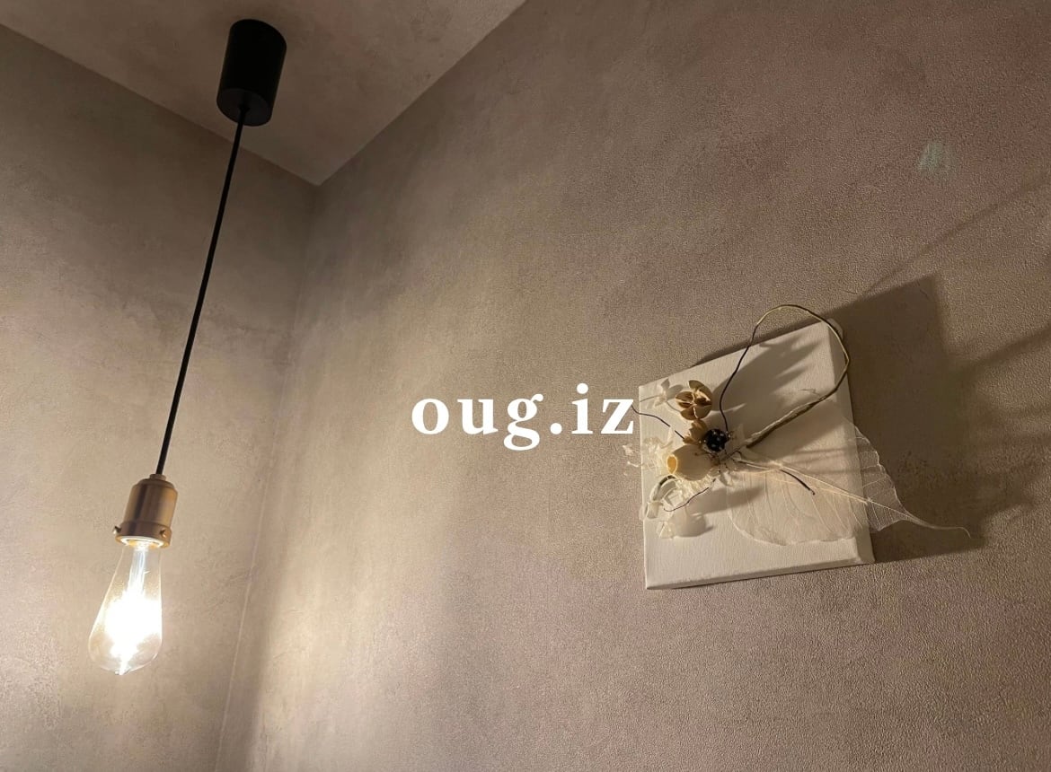 oug.iz