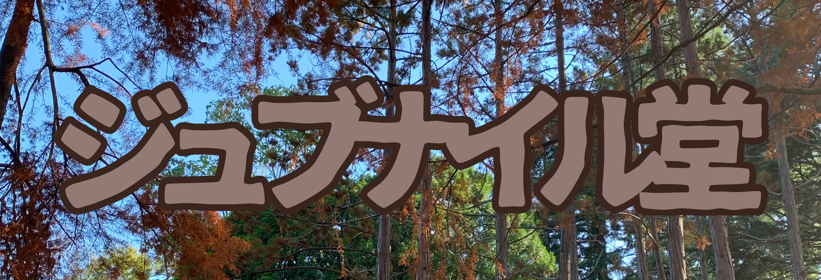 ジュブナイル堂
