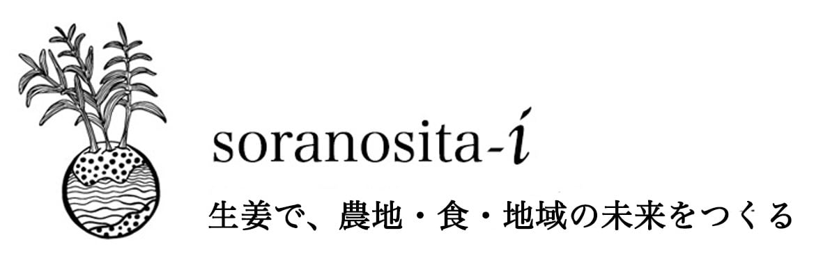 SORANOSITA