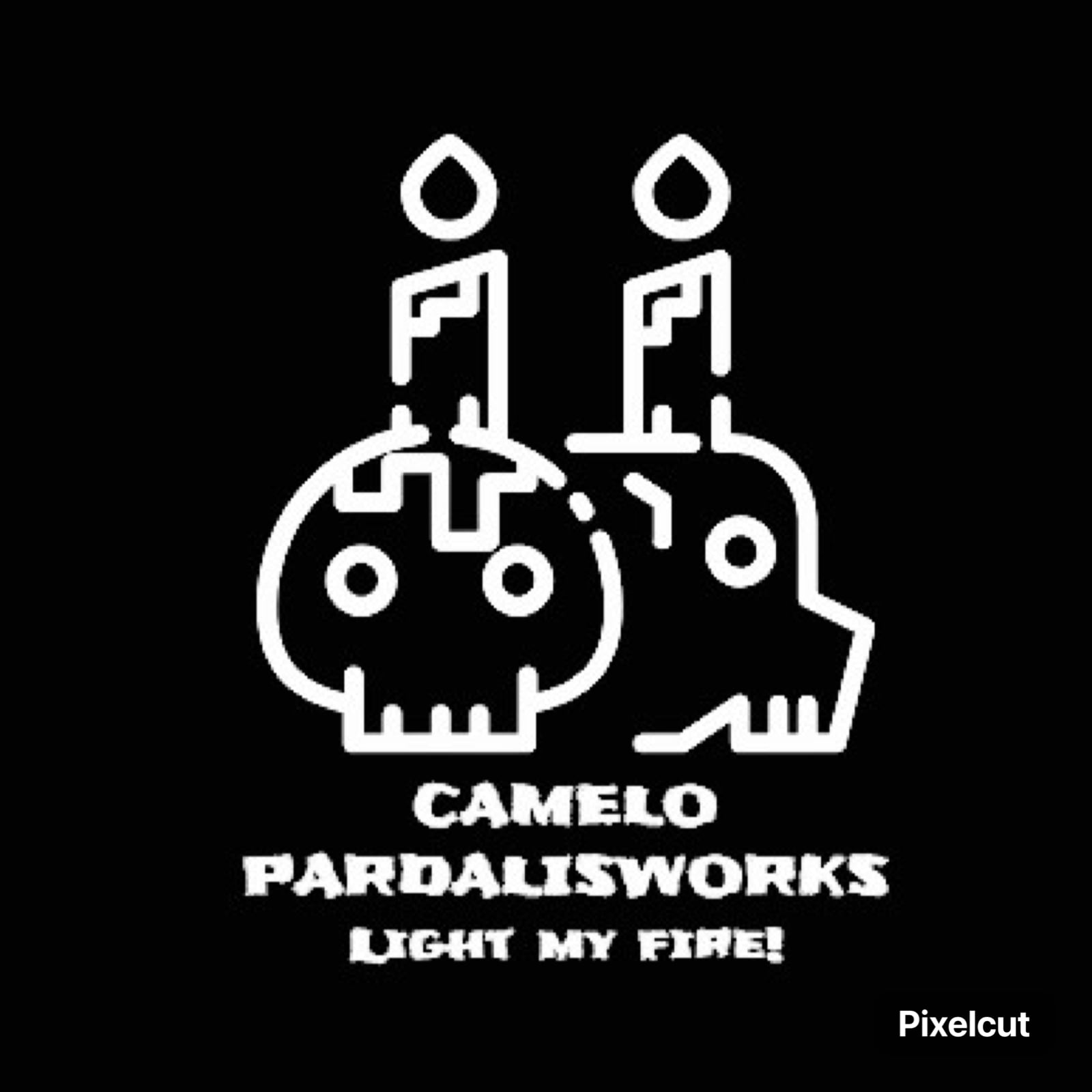 camelopardalisworks