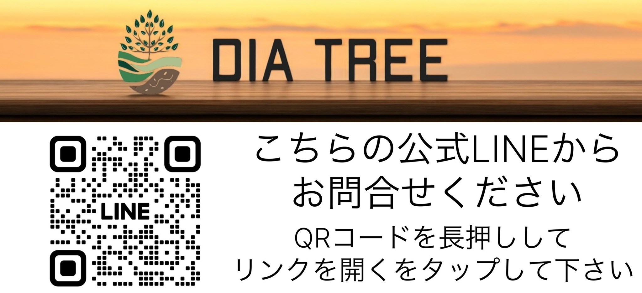 diatree shop