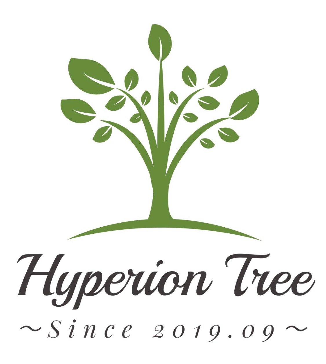 Hyperion Tree   -  ﾊｲﾍﾟﾘｵﾝﾂﾘｰ  -
