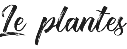 Le plantes