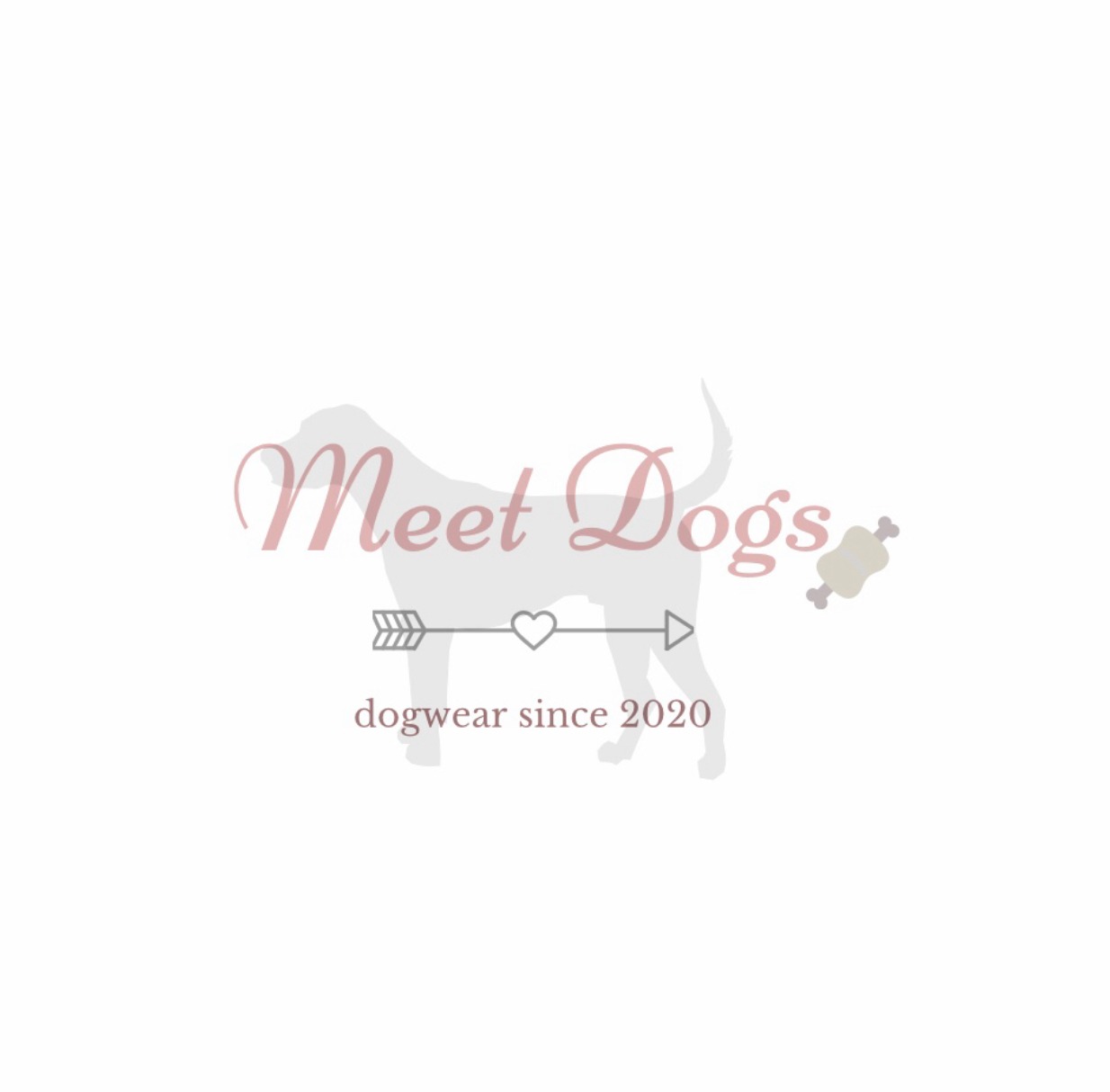 Meet ❤︎ Dogs