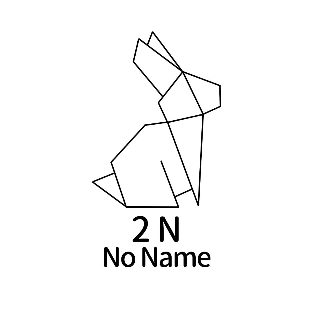 2N-NoName-