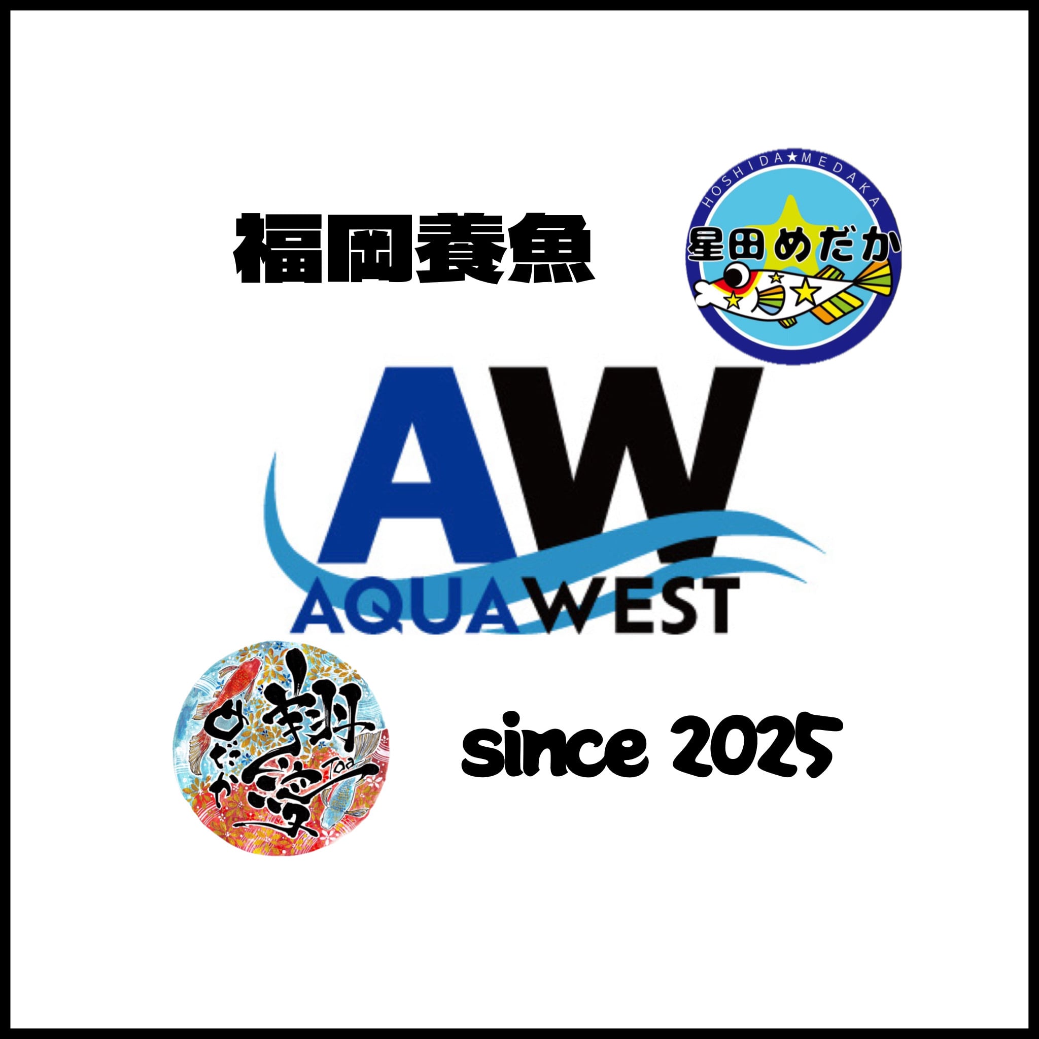 AquaWest(福岡養魚)
