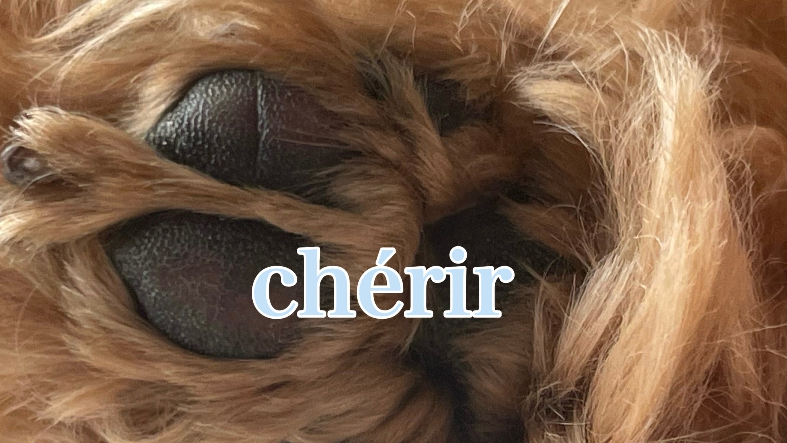 chérir