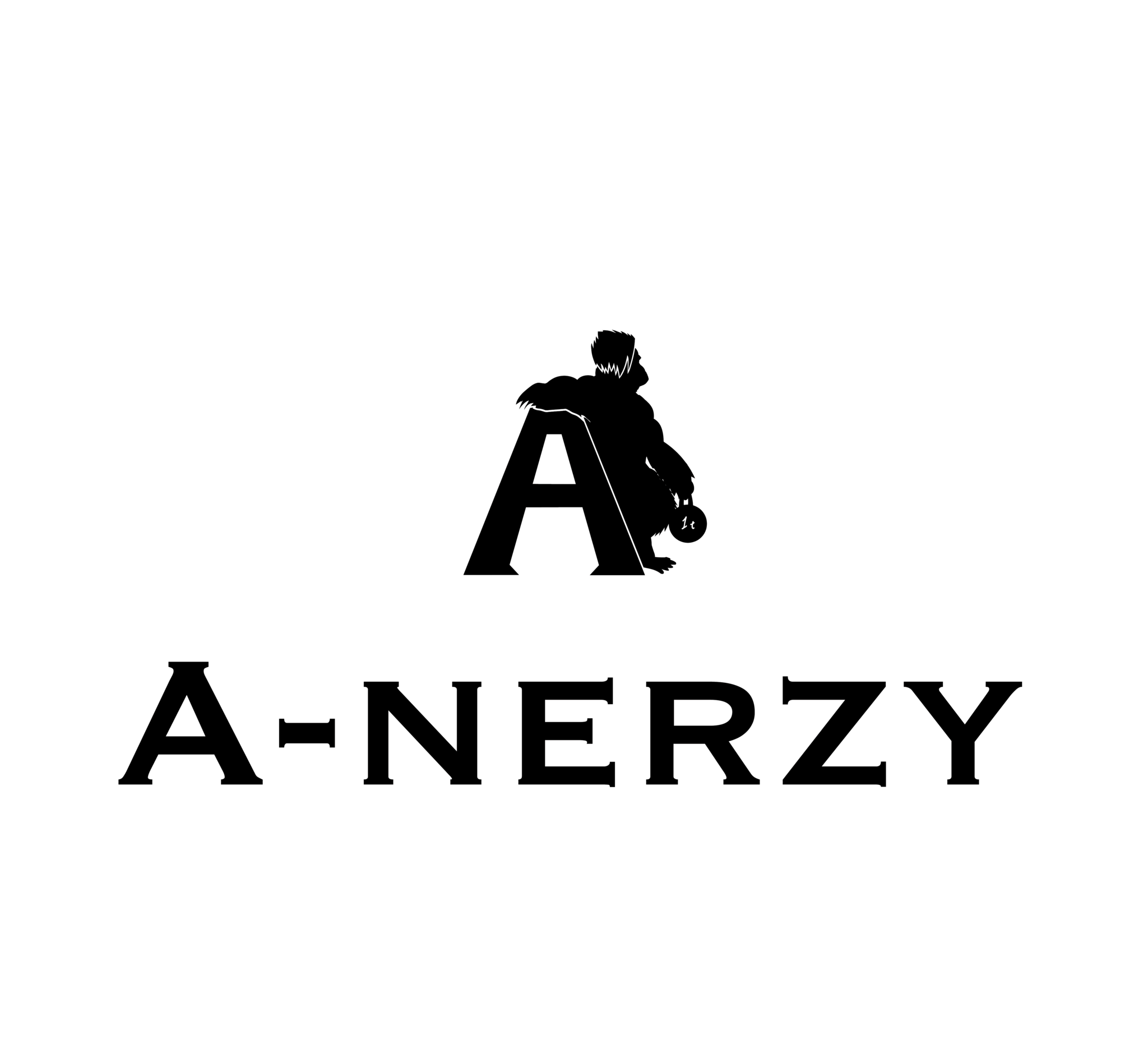 A - N E R Z Y  