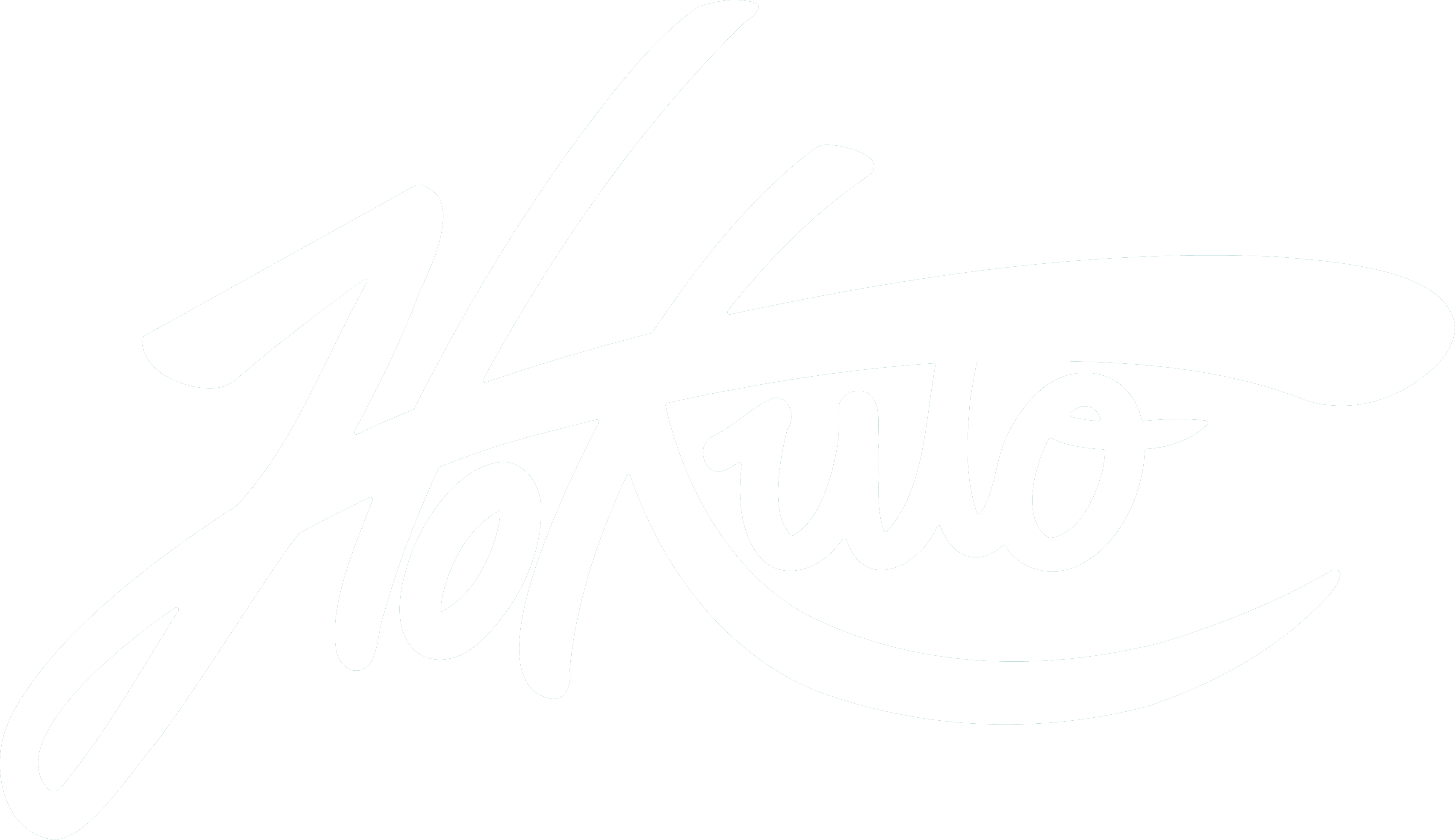 HOKUTO TANEICHI