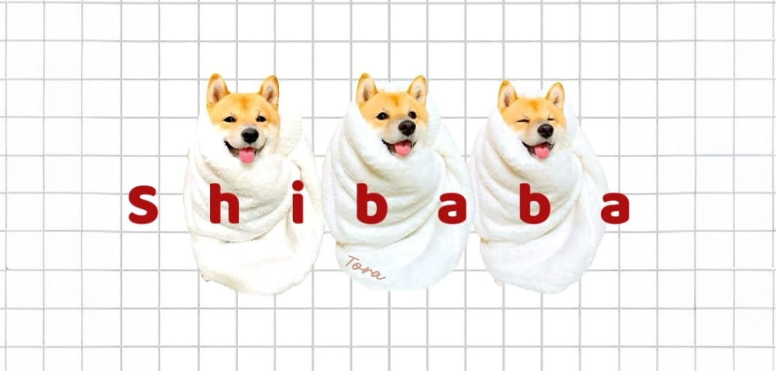 shibaba