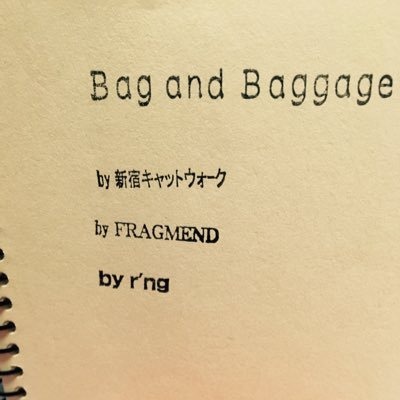 bag and baggage