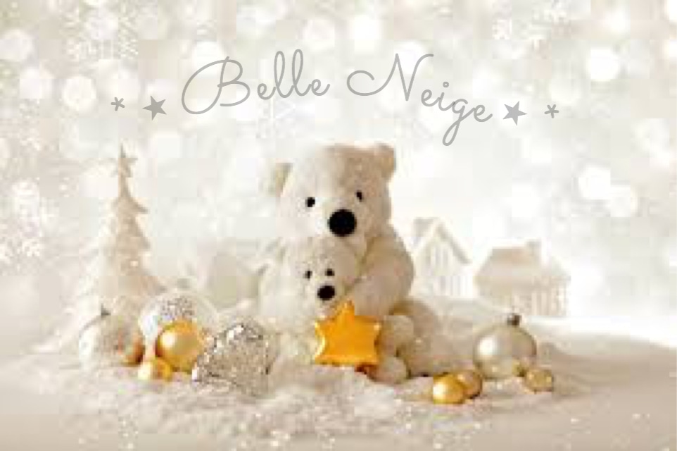 Belle Neige ⋆*