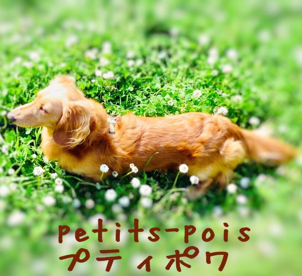 りんごあめさま♪専用 トナカイネイビー | petits-pois ＊ プティポワ