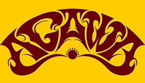 agawa international