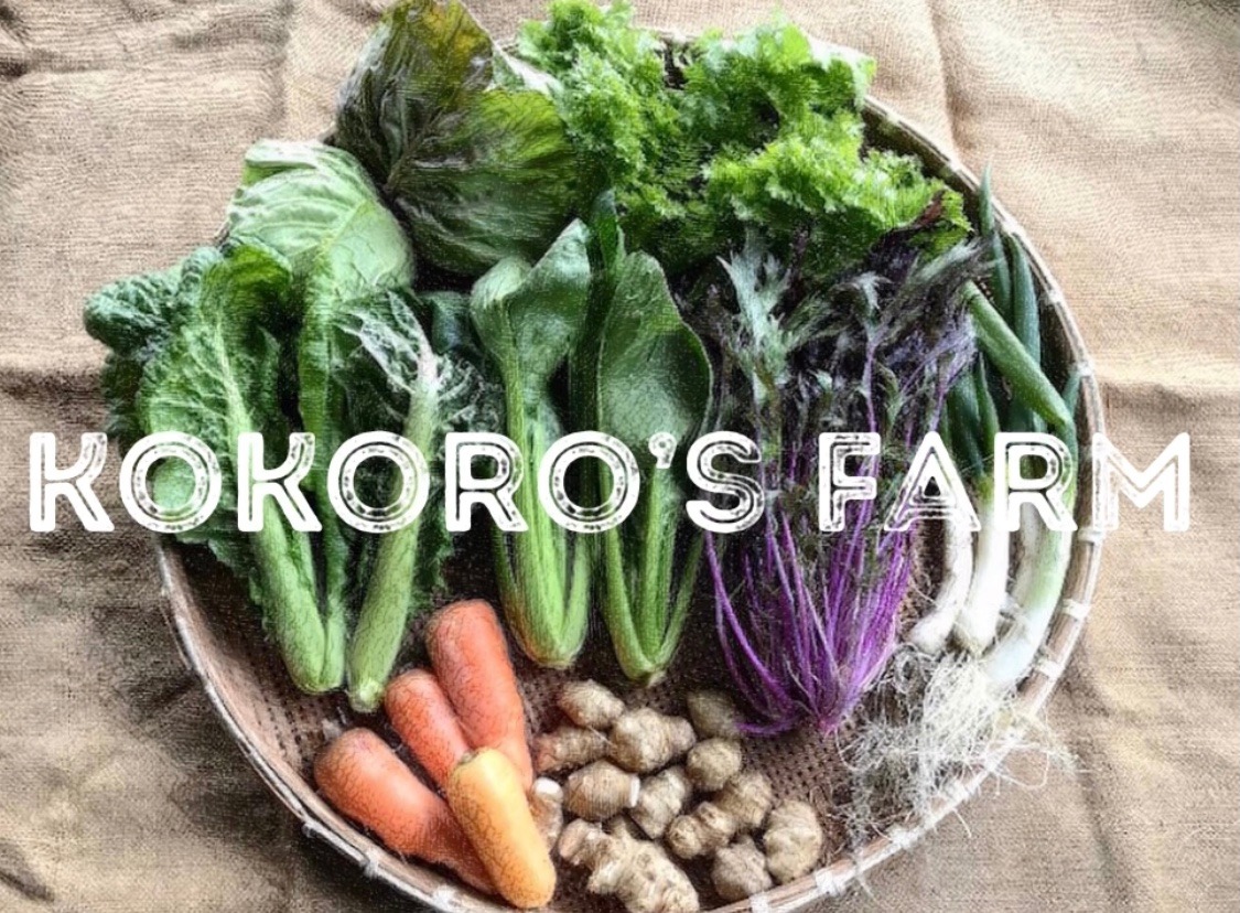 kokoro's farm