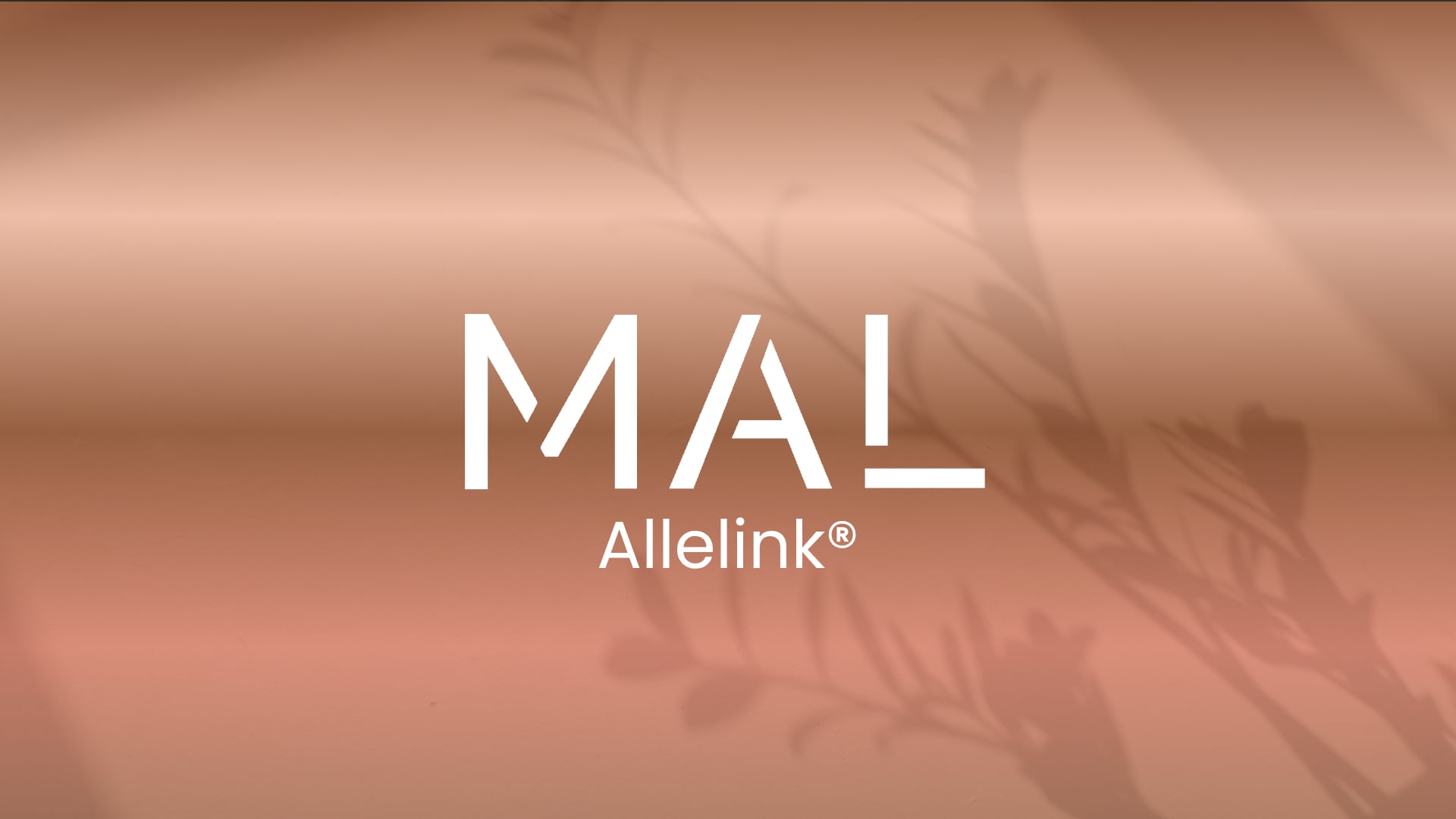 MAL accessory