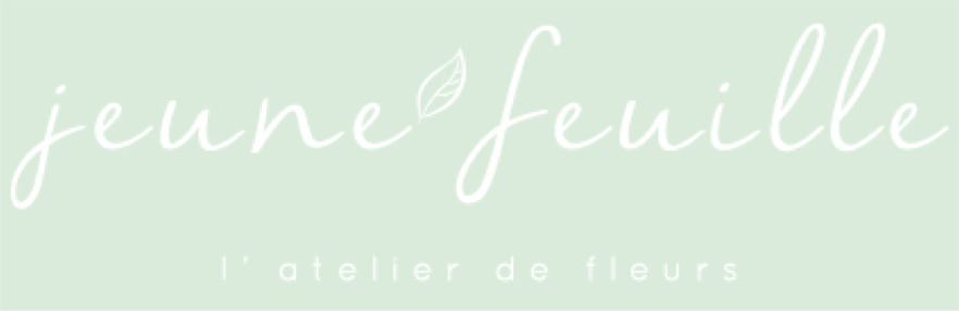 jeune feuille