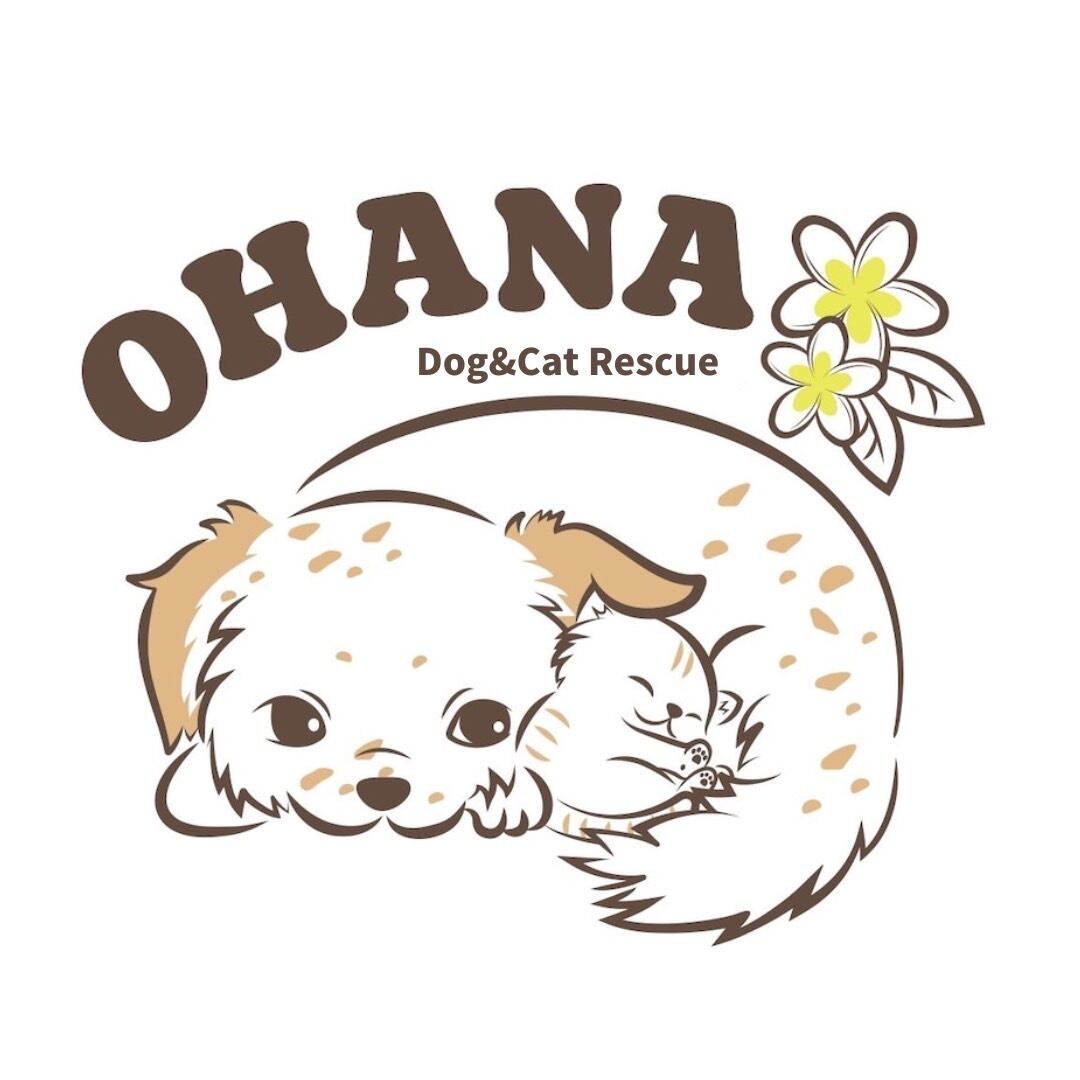 ♡ohana様ご確認♡ ohanashop