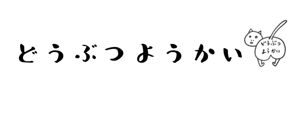 どうぶつようかい