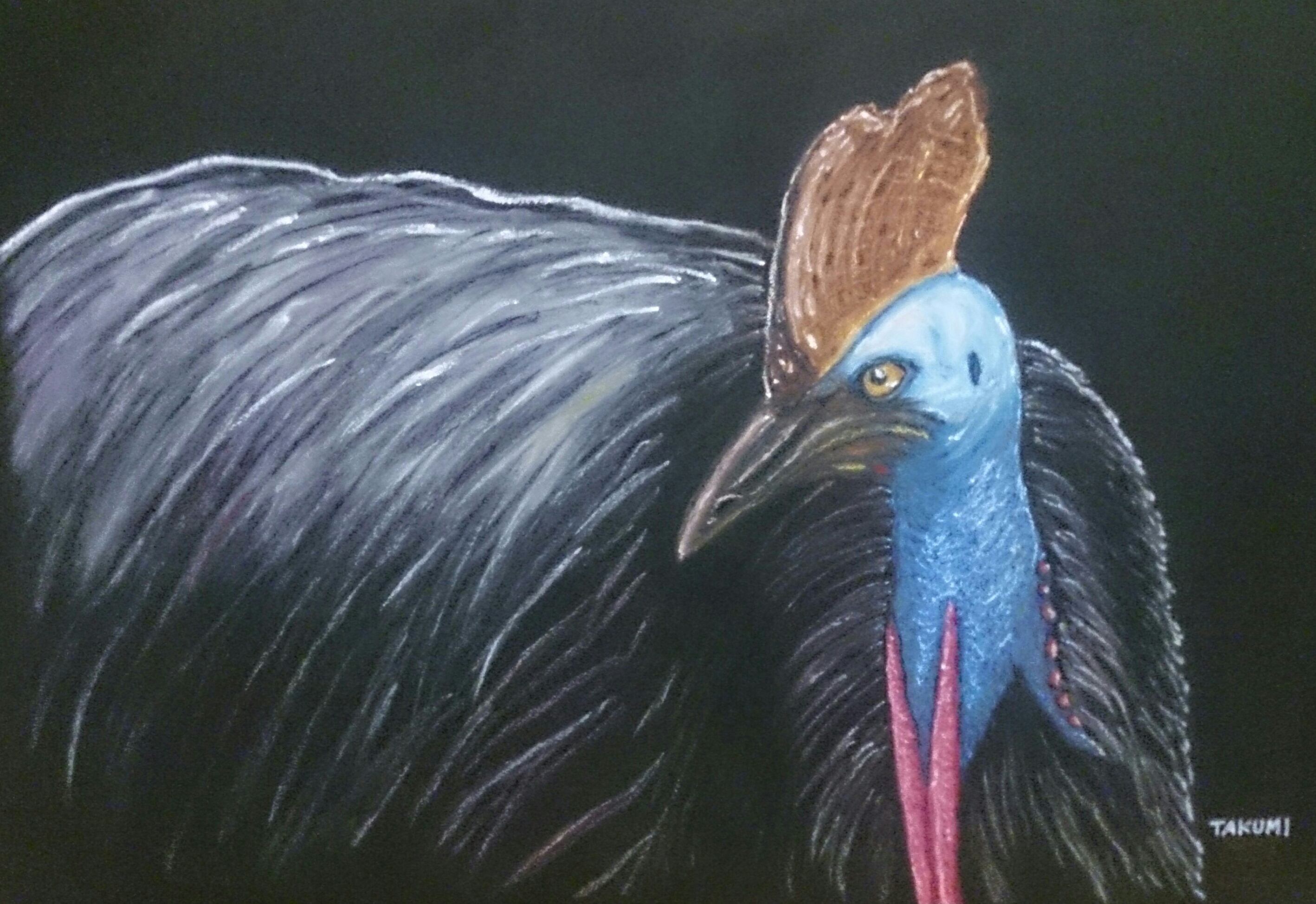TAKUMI chalkart