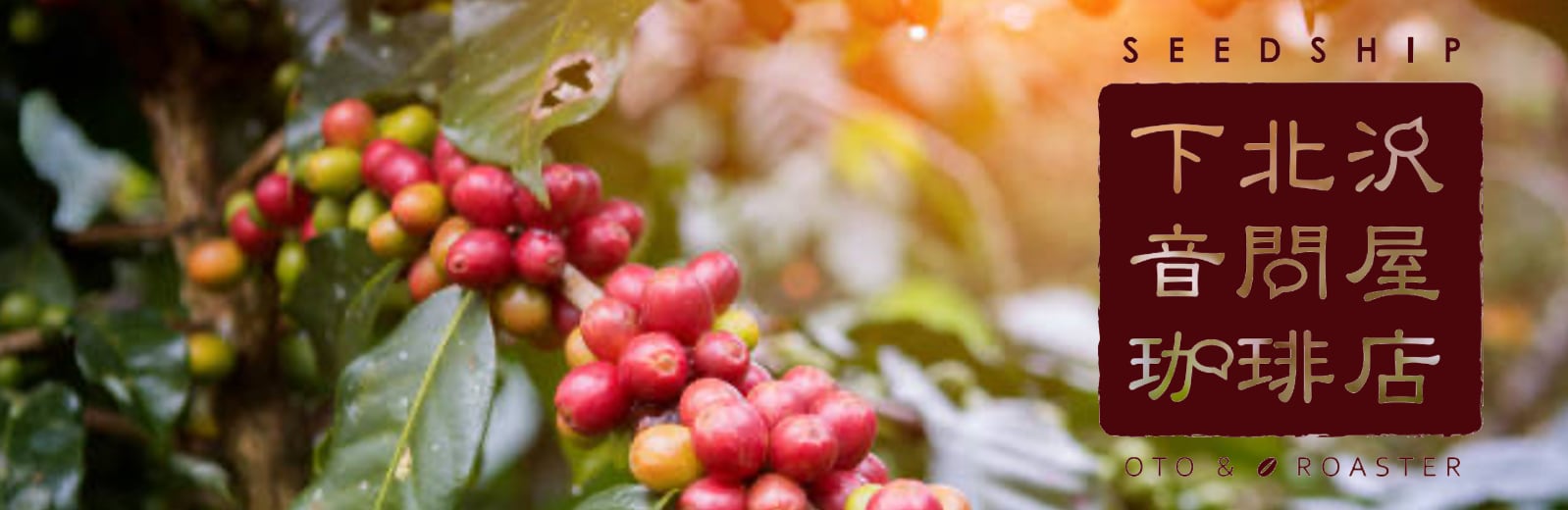 下北沢音問屋珈琲店 OTO＆ROASTER