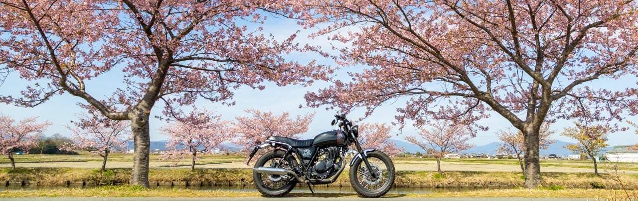 モトソニックファクトリー