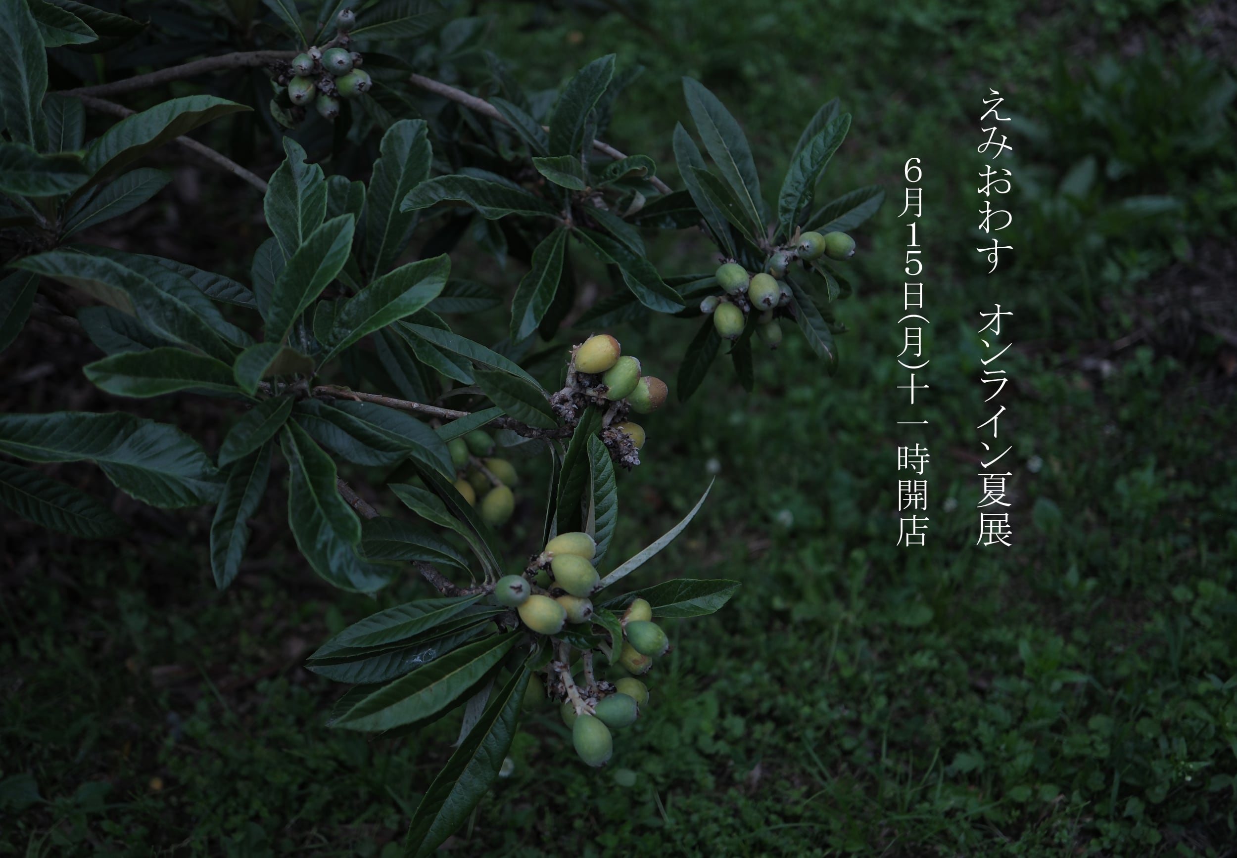 えみおわす