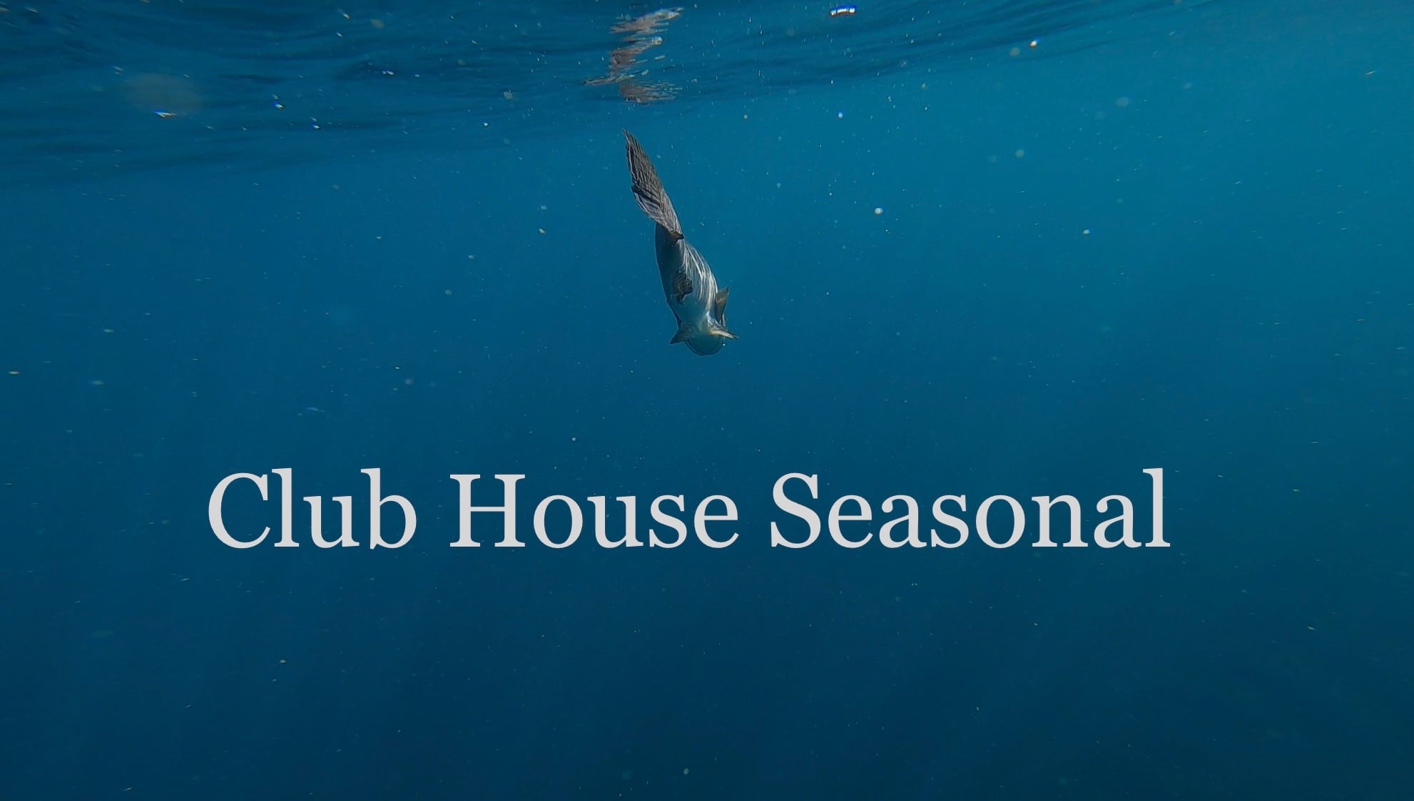 Club house Seasonal