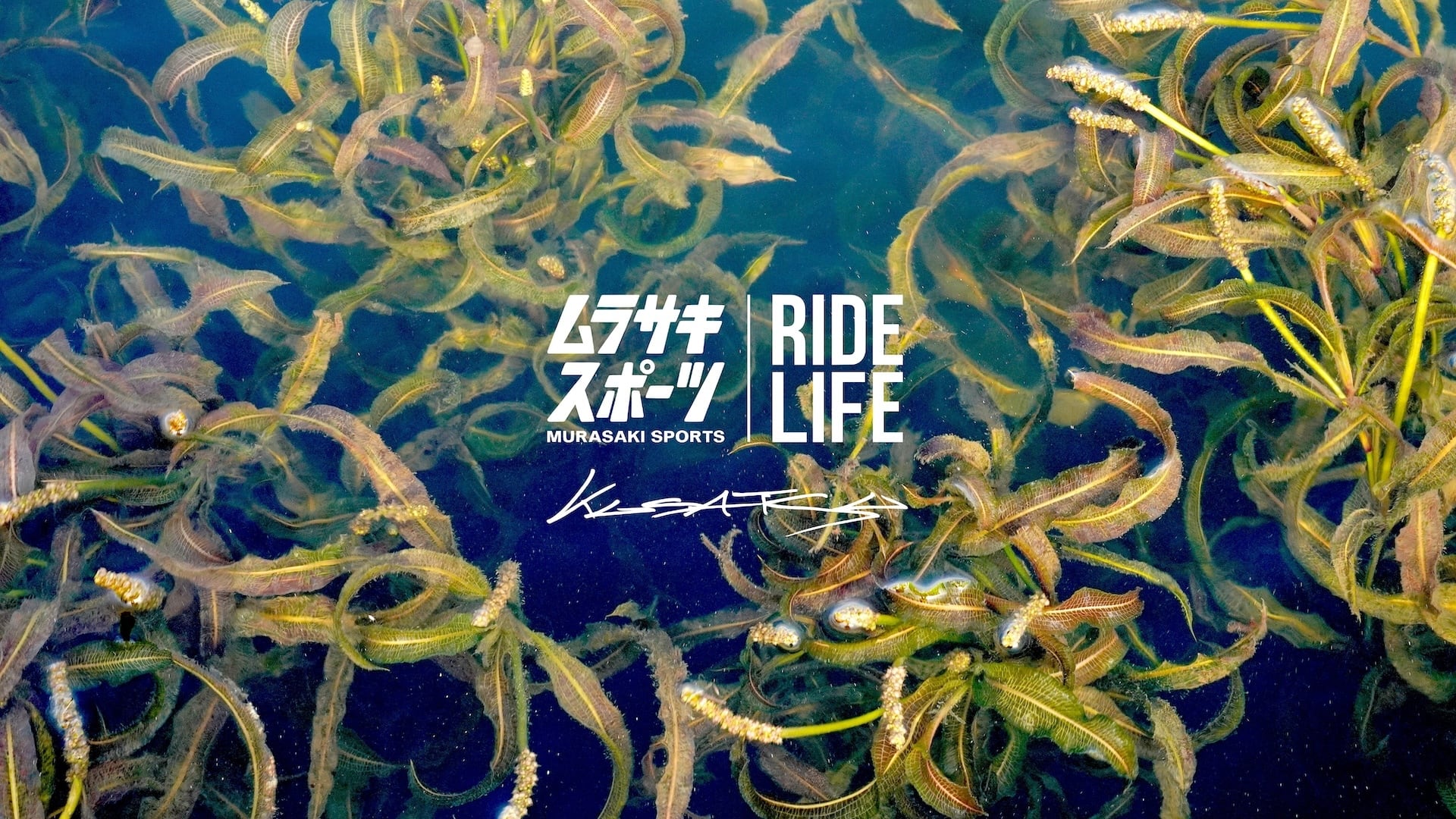 DRT × ELECTRIC / TROPHY SHOT DRY HOOD（BLACK） | MURASAKISPORTS