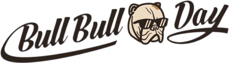 BULL BULL DAY 