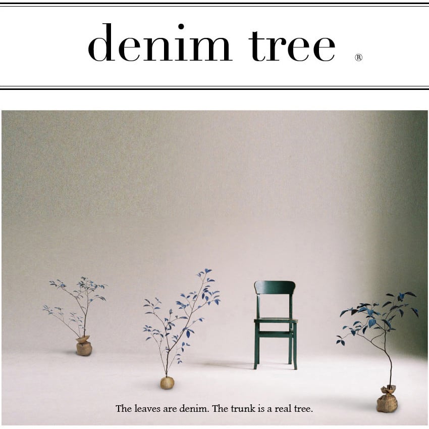 denim tree