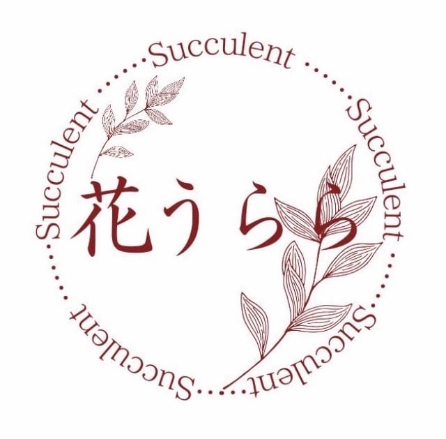 Succulent 花うらら 〜多肉植物