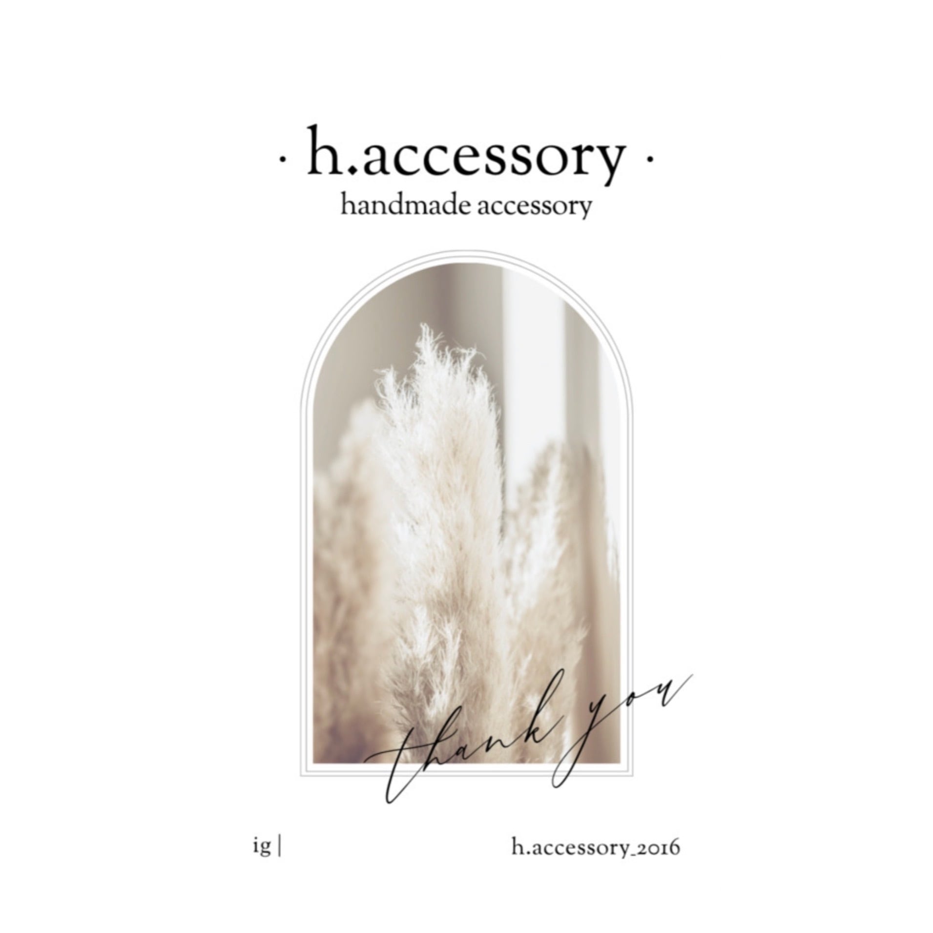 h.accessory