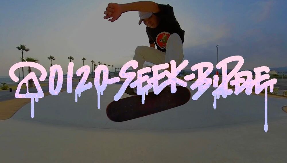01 Seek Birdie ガール Sk8 ストリートファッション