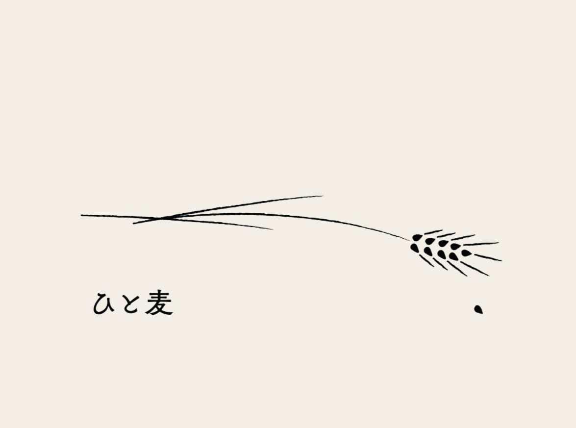 酒人肴 ひと麦
