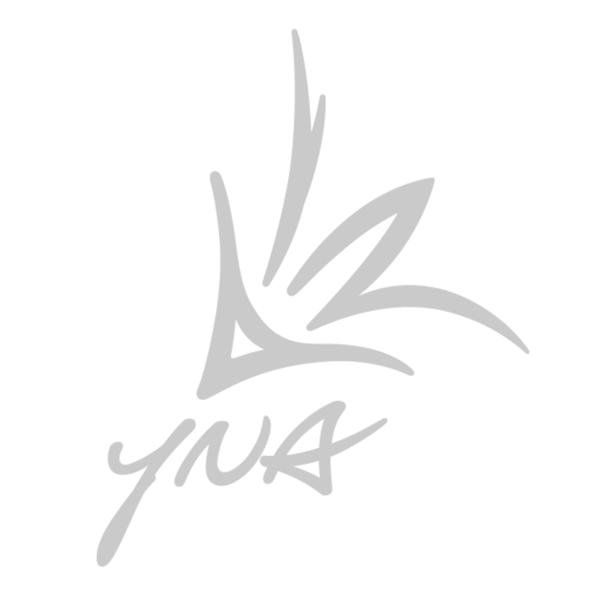 Yna Lettering YNA