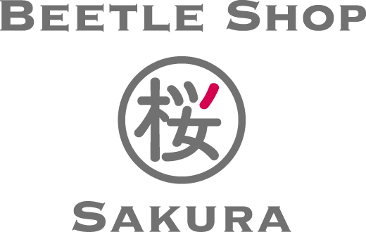 Beetle Shop 桜 Sakua