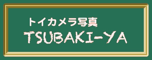 トイカメラ写真ショップ 　TSUBAKI-YA