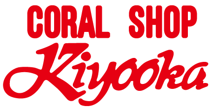 カフスボタン カフリンクス | 清岡珊瑚店