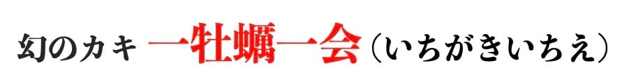 孝好丸の仮屋湾産牡蠣