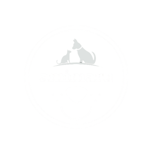 amimaru.pets
