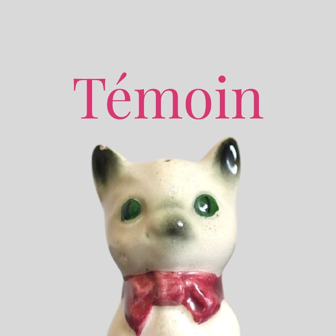 Témoin