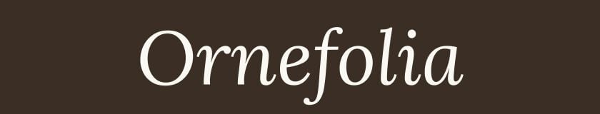 Ornefolia | 装身具と鉱物