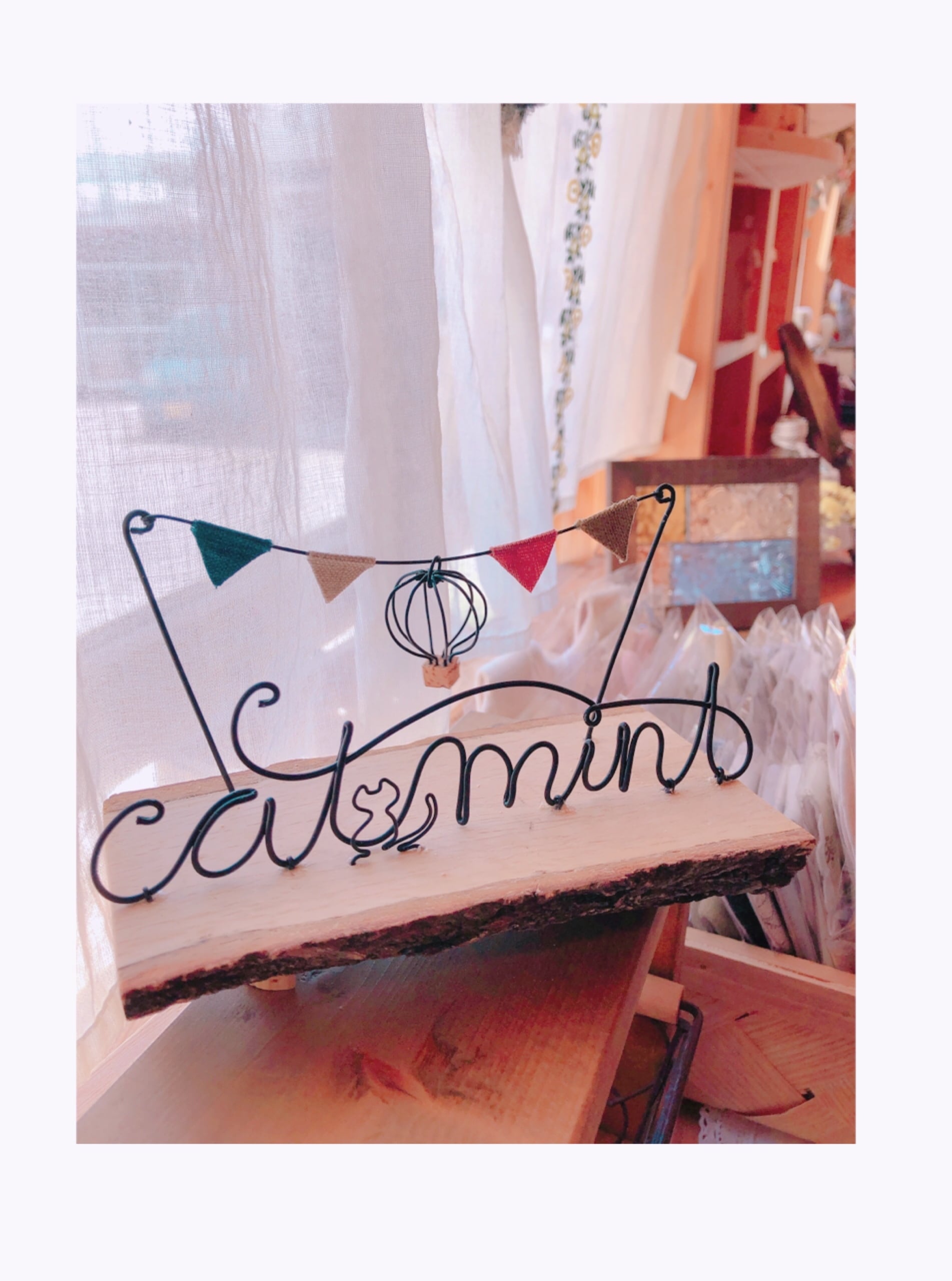 catmint