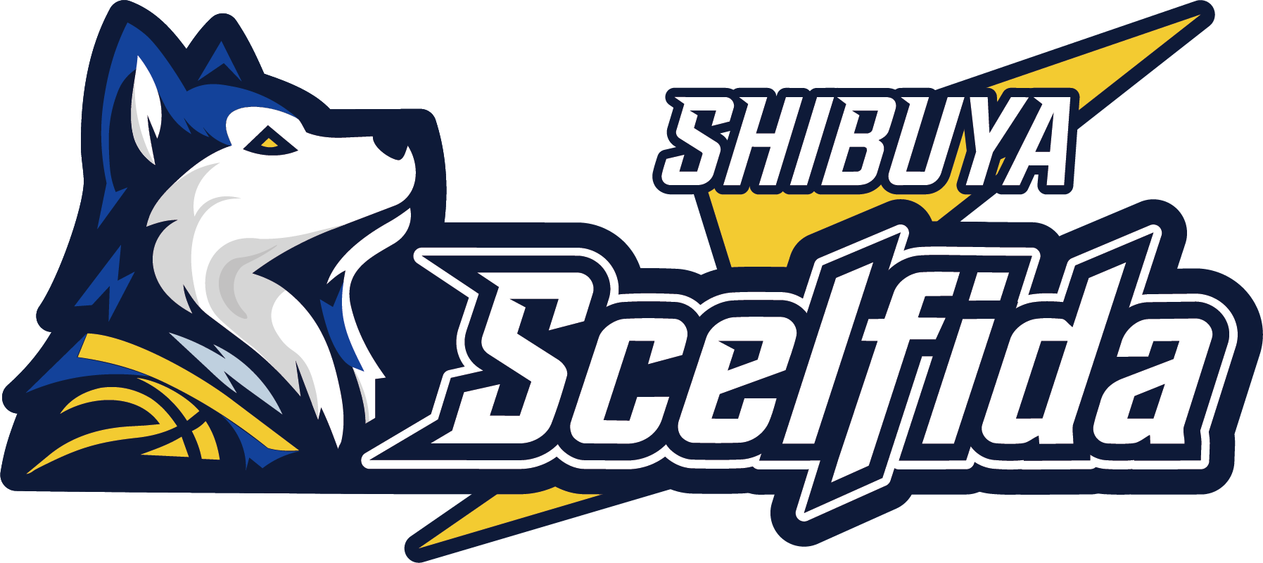 SHIBUYA scelfida