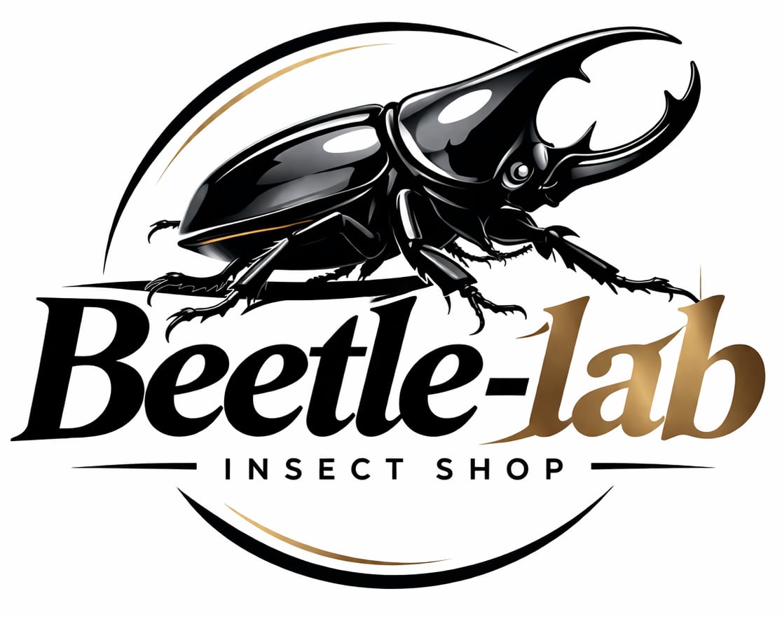 Beetle-lab